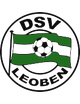 DSV萊奧本logo